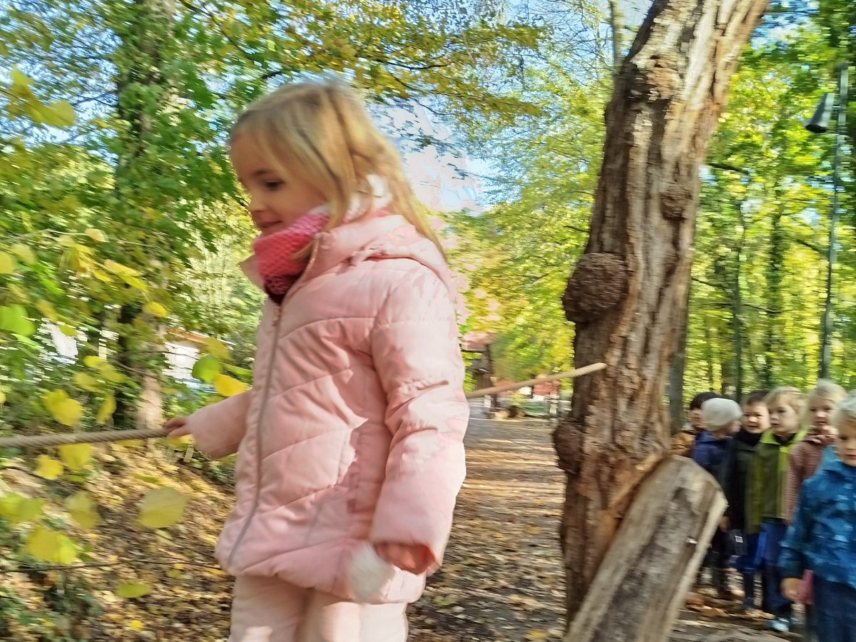 Kampkind balanceert op een boomstam in het herfstbos