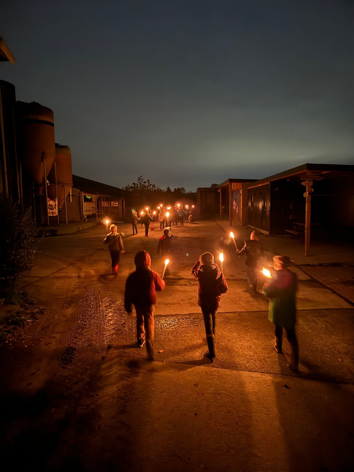 De Mysterieuze Boomgaard (21/10-20/12